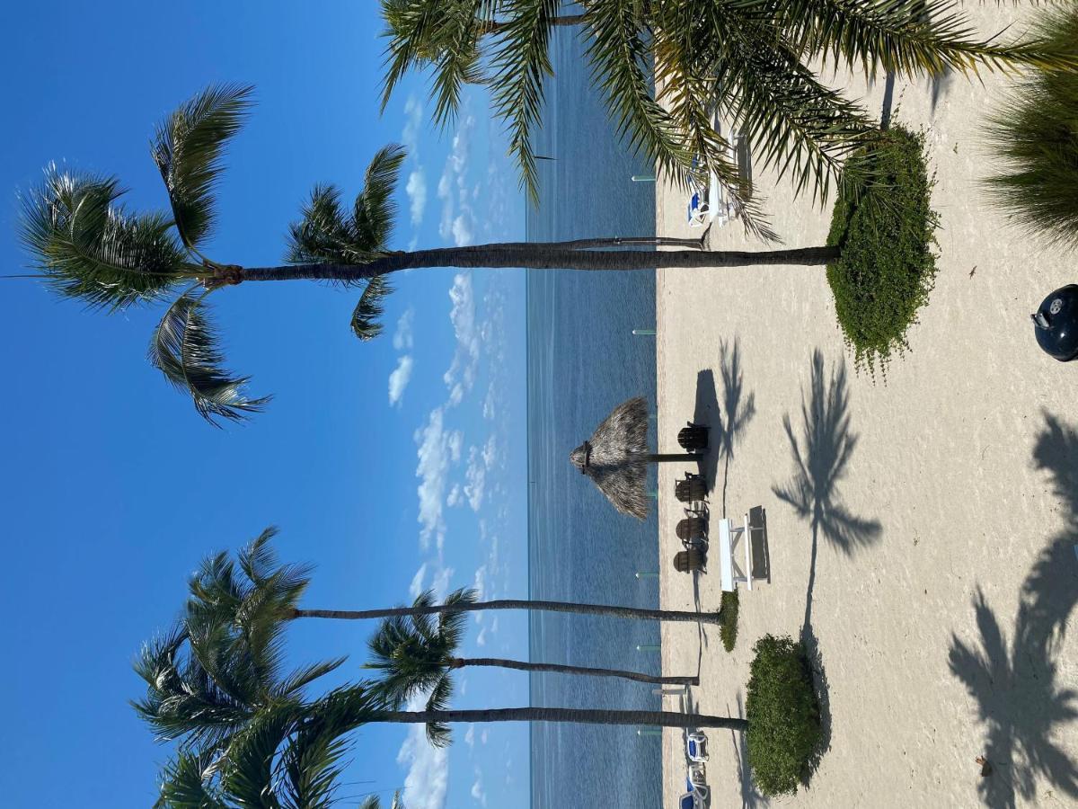 Drop Anchor Resort & Marina 伊斯拉莫拉达 外观 照片